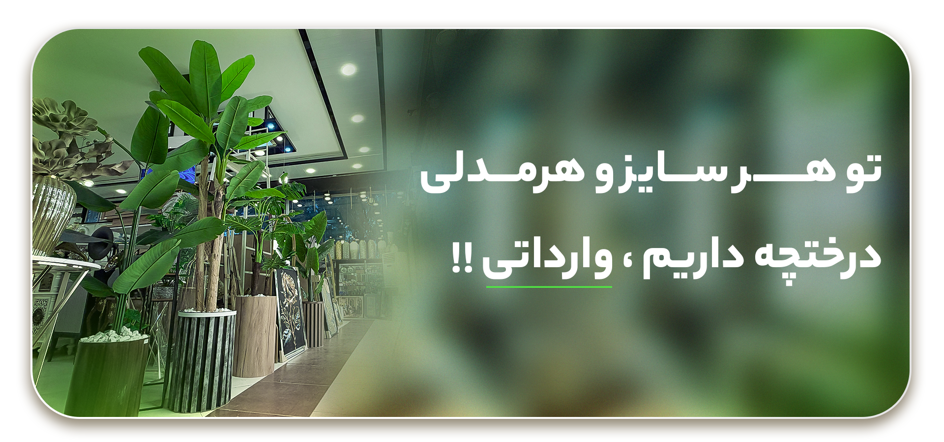 roshanakzahedan.ir/roshanakgallery